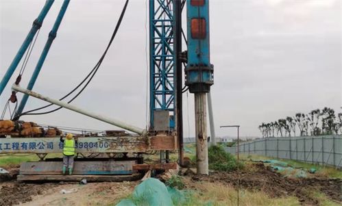 玉湖冷鏈深度融入四川國(guó)際供應(yīng)鏈建設(shè)，推動(dòng)施工工程高效落地