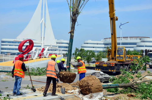 濱海區(qū)加速項(xiàng)目建設(shè)，全力打造精品工程