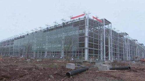 龍興園區四大重點項目加速推進，吉利、三一重工引領建設新高潮